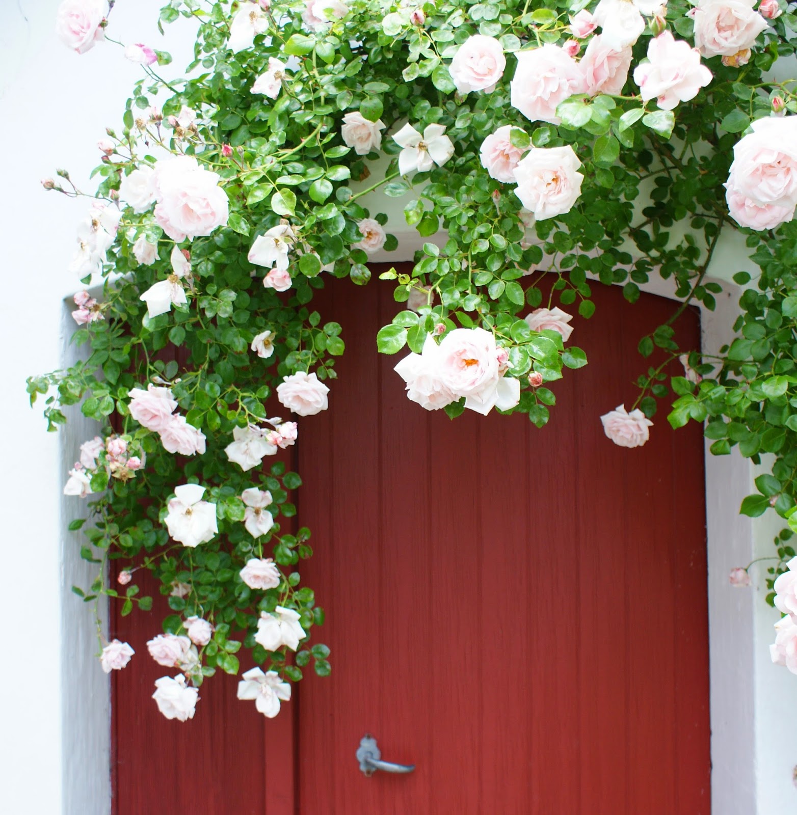 KJELD SLOT WHERE HAVE ALL THE ROSES GONE...?