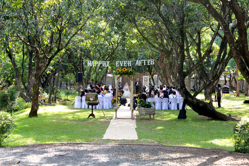 Hi Heat The Mango Farm