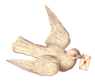 digital dove download stock white dove image