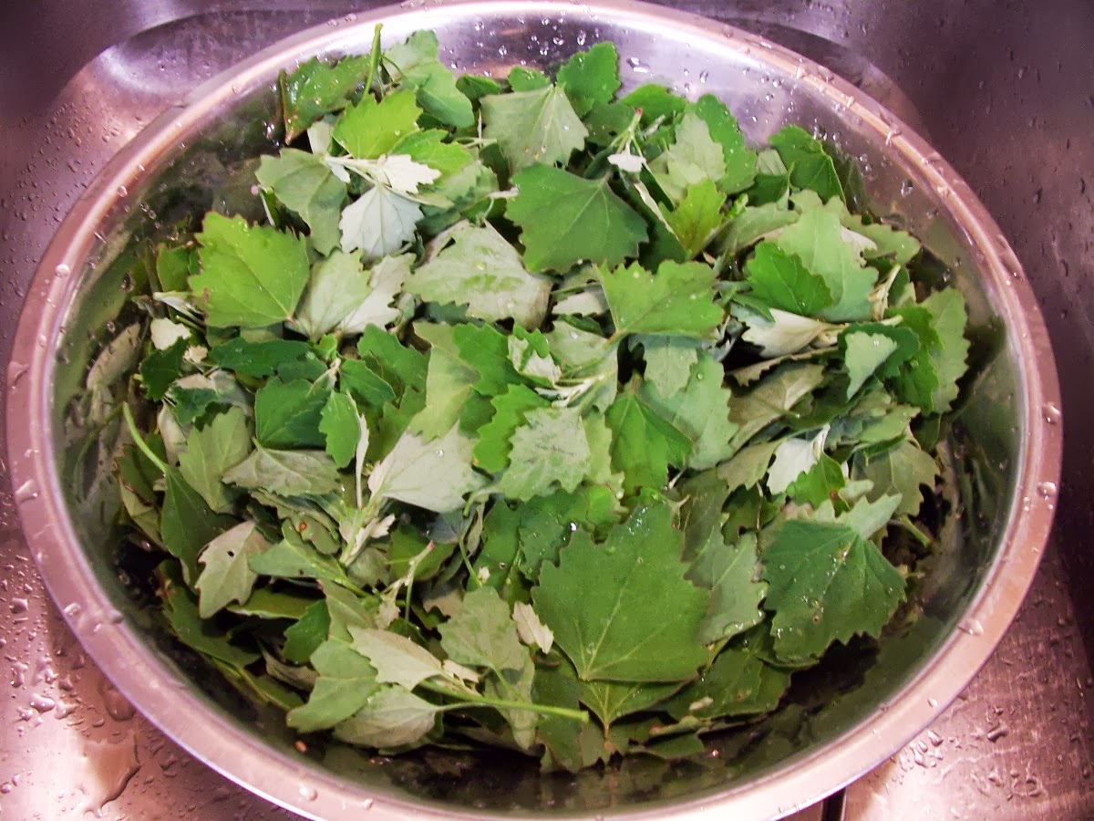 Krazo Acres Lambs Quarters Recipes