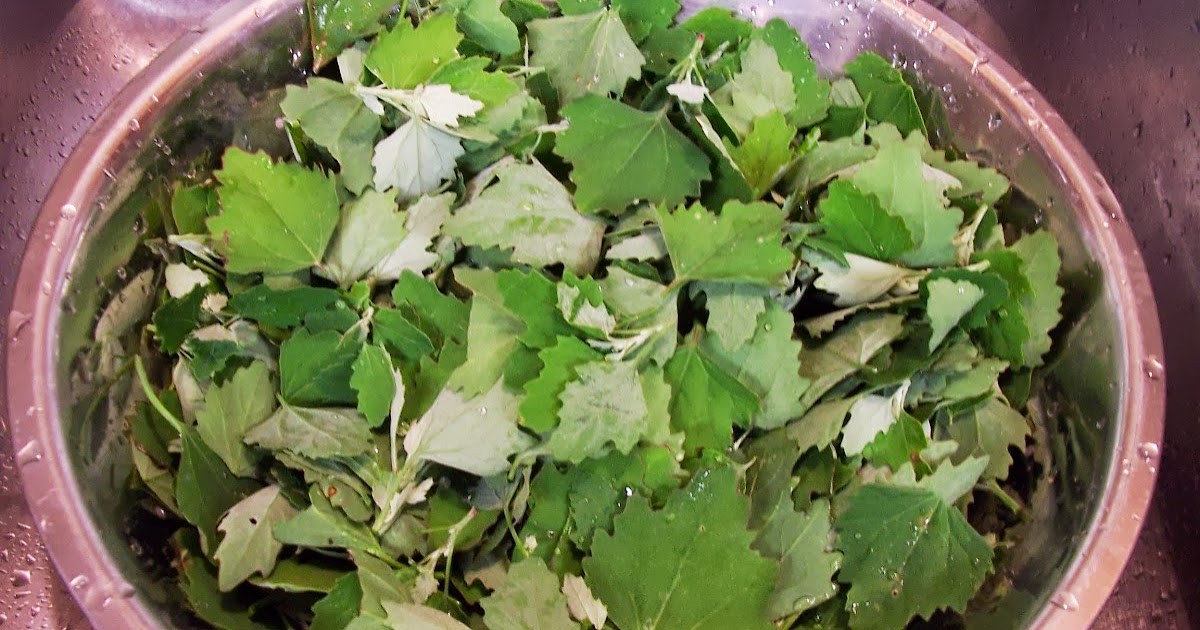 Krazo Acres Lambs Quarters Recipes