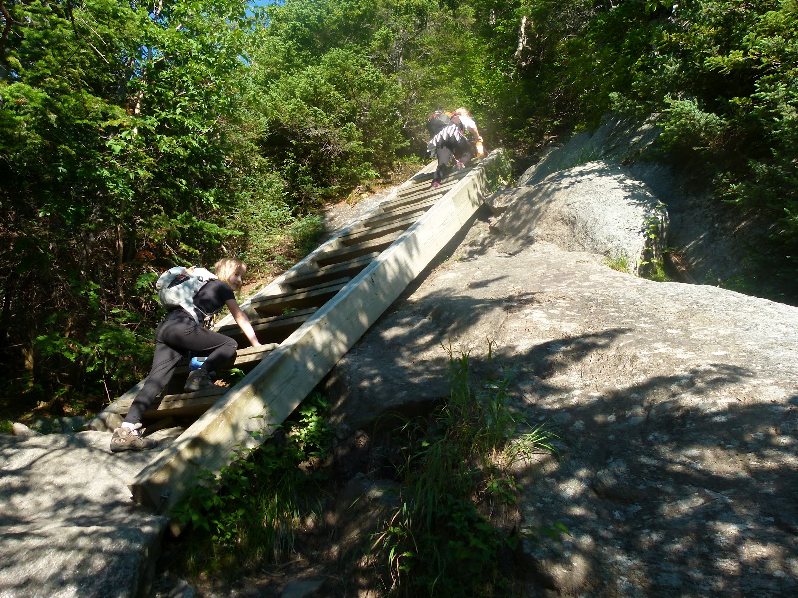 Trish, Alex, and Sage Seek the Peak 2012 Mt. Washington via Lion Head