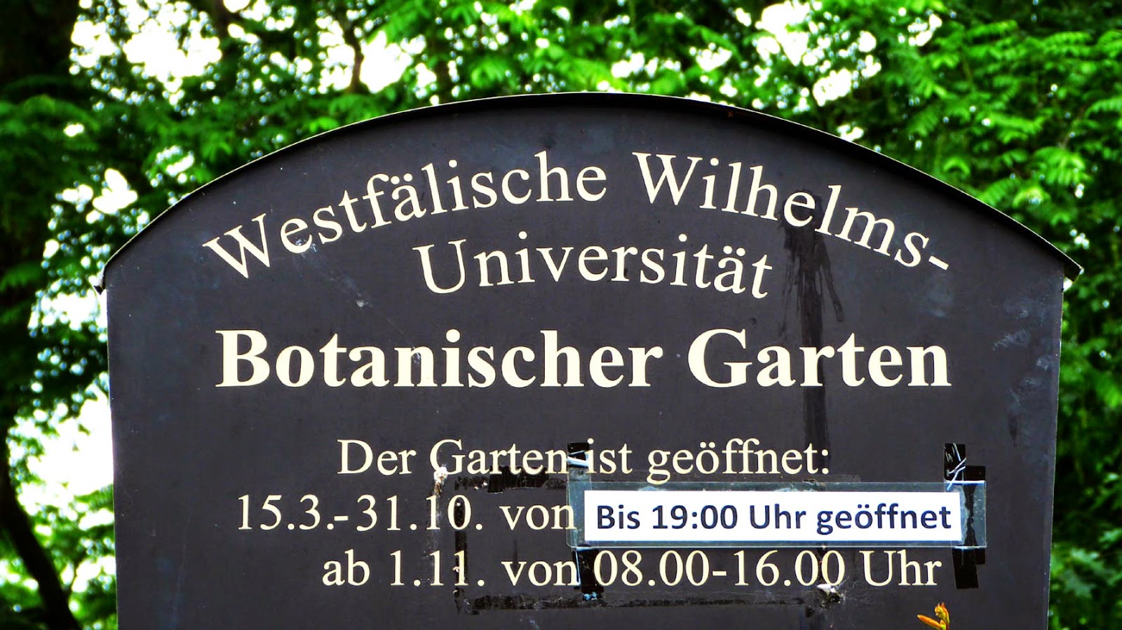 Münster Sehenswürdigkeiten, Bilder & Tipps für einen