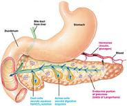 Overcoming Pancreatitis