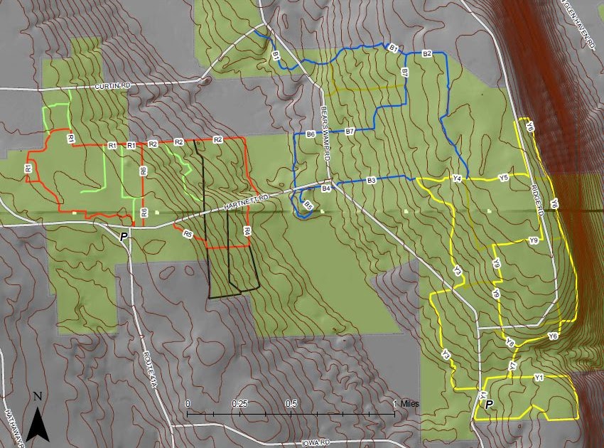 Andrew On Trails XC Skiing in Bear Swamp State Forest