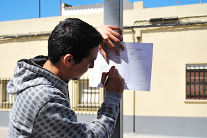 Apuntando dónde viven los aviones comunes