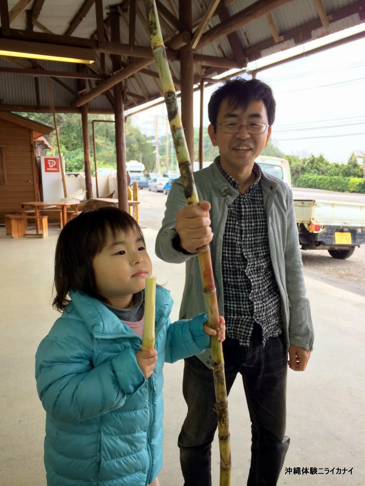 沖縄体験ニライカナイ～恩納村の体験/観光ブログ～サトウキビ刈りと黒糖作り体験