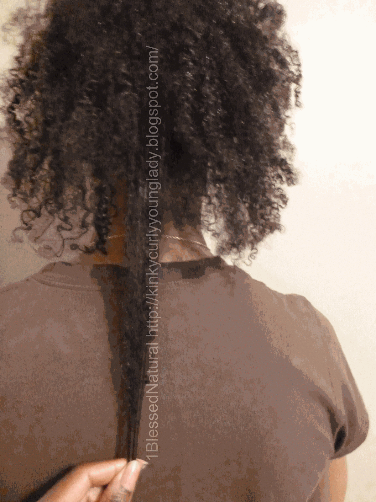 C S 2 Year Plus Length Check