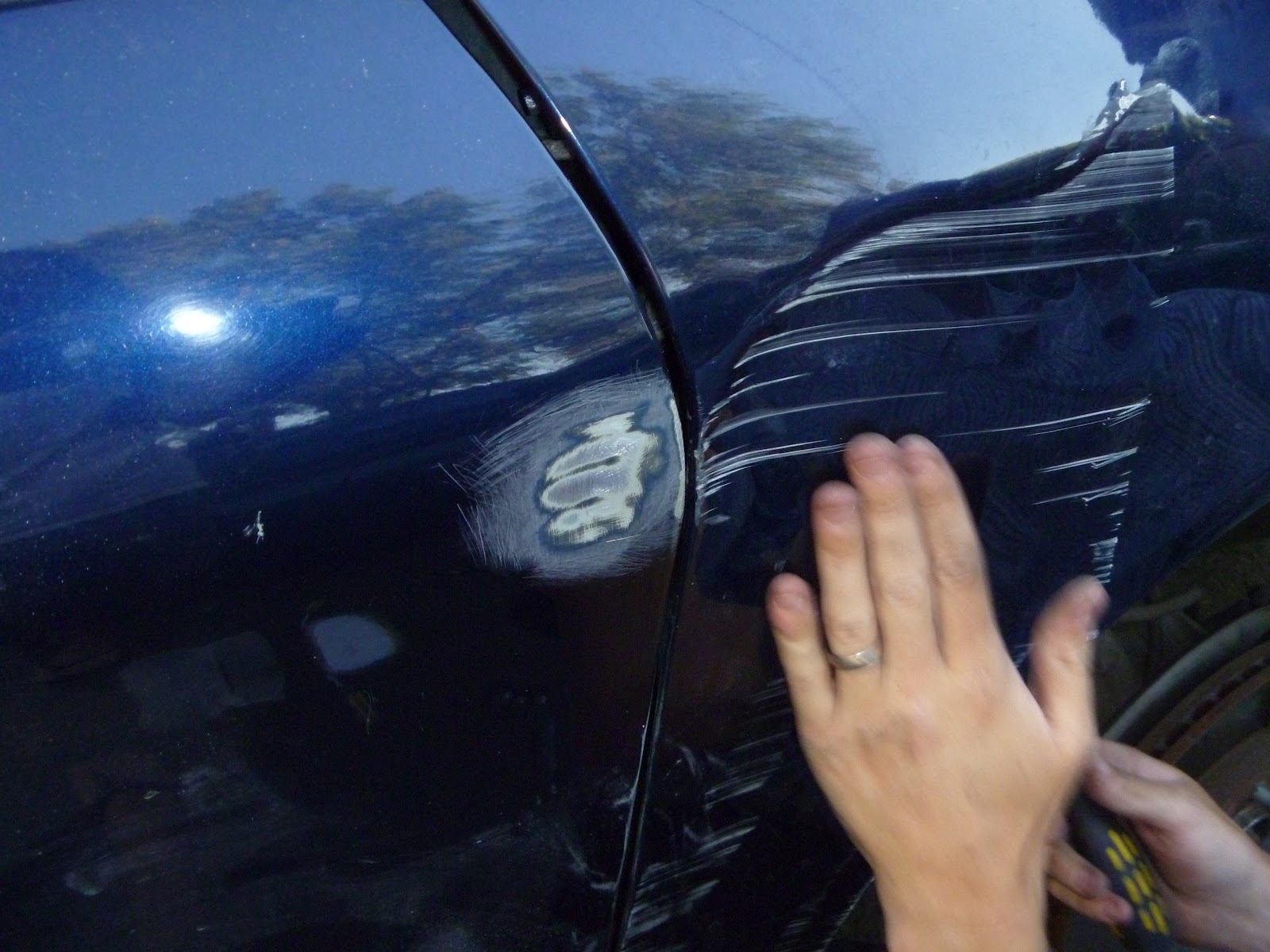 Growing tall in our little Corner Fixing my dented fender