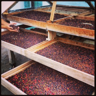 Cafe Agaete, Gran Canaria