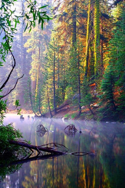 Huntington Lake, California
