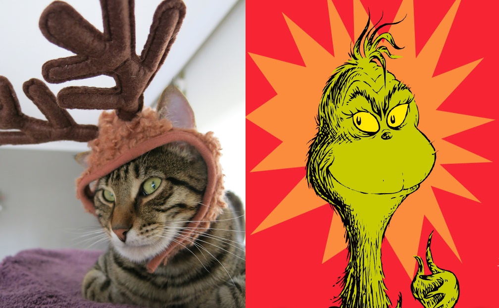 Cat With Christmas Hat Wake Me When It S Over Image Cat With Christmas Hat Wake Me When It S Over Image