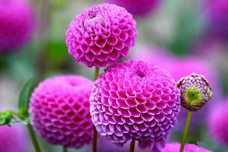 Mampukah Anda Berbuat Baik Pada Orang Yang Hasad?