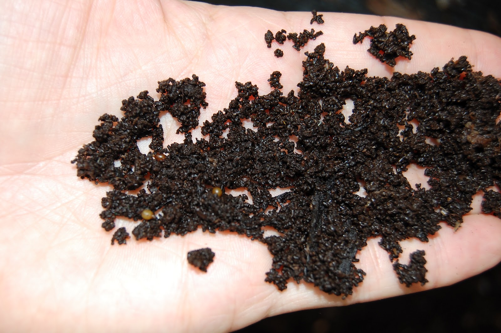 No Worm Farms in Austria a local global gardener