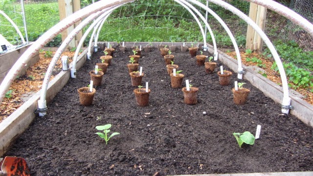 Following the Master Gardener: The Best Raised Bed Soil ...