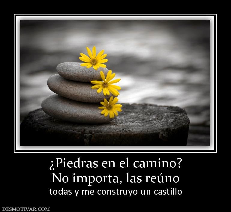 Frases: Proactividad