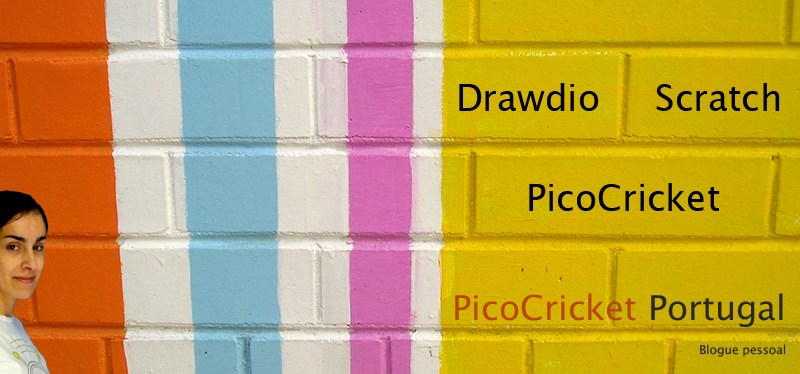 PicoCricket Portugal