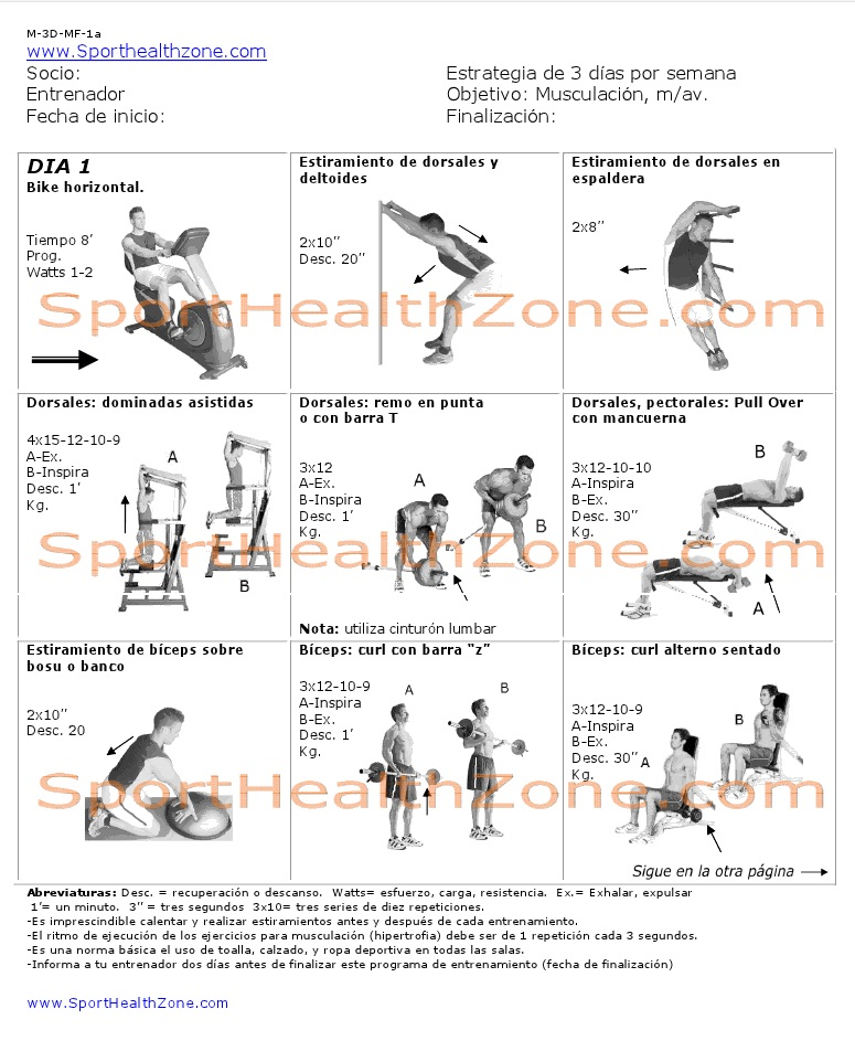 EJERCICIOS DE GIMNASIO CON PESAS ejercicios de gimnasio con pesas: