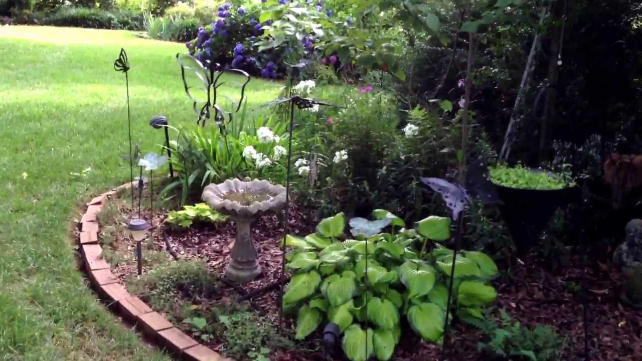 Bird In Everything: Backyard Bird Habitat