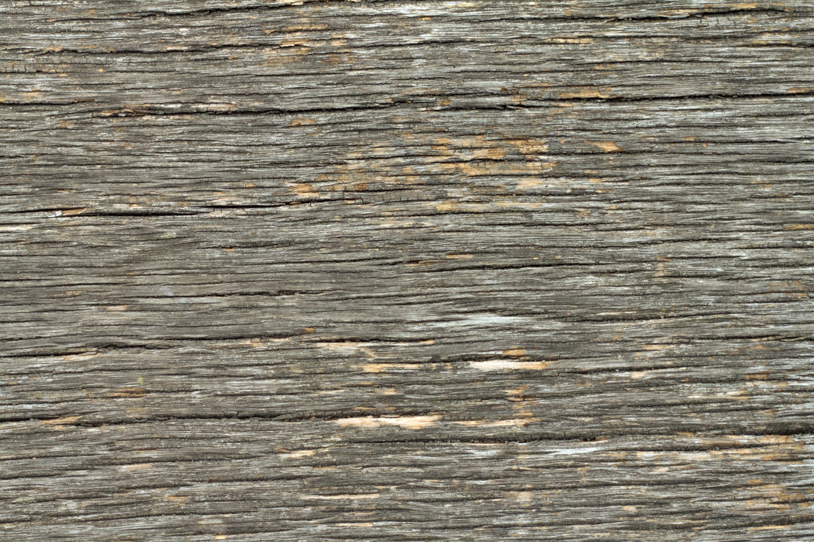 HIGH RESOLUTION TEXTURES (Wood 21) dry cracked plank tree bark texture