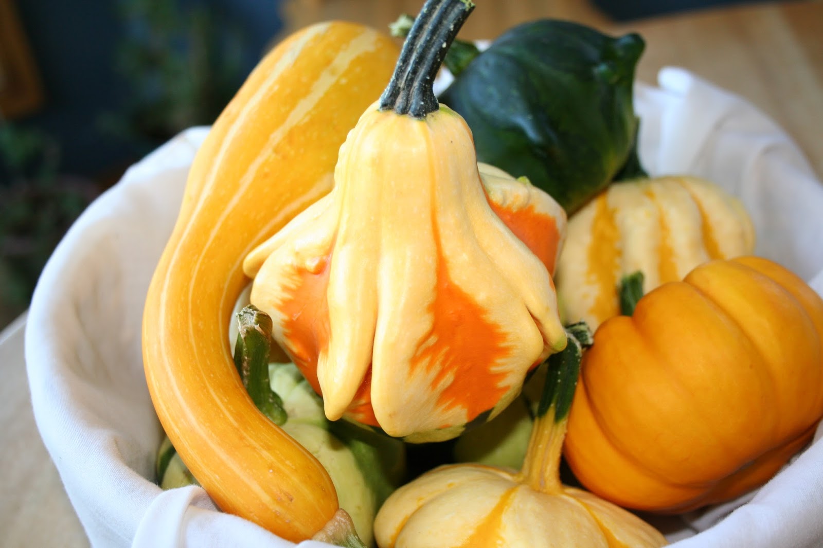 Tammy's Craft Emporium Ornamental Gourds So colourful.