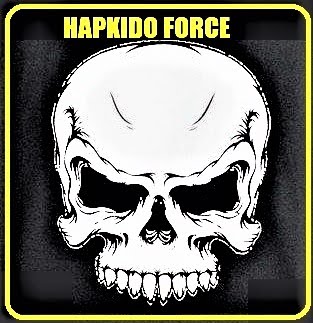 Hapkido Force Atleta