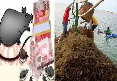 Kasus Rumput Laut Bursel, Keterangan Saksi Bingungkan Hakim 1 pancuri