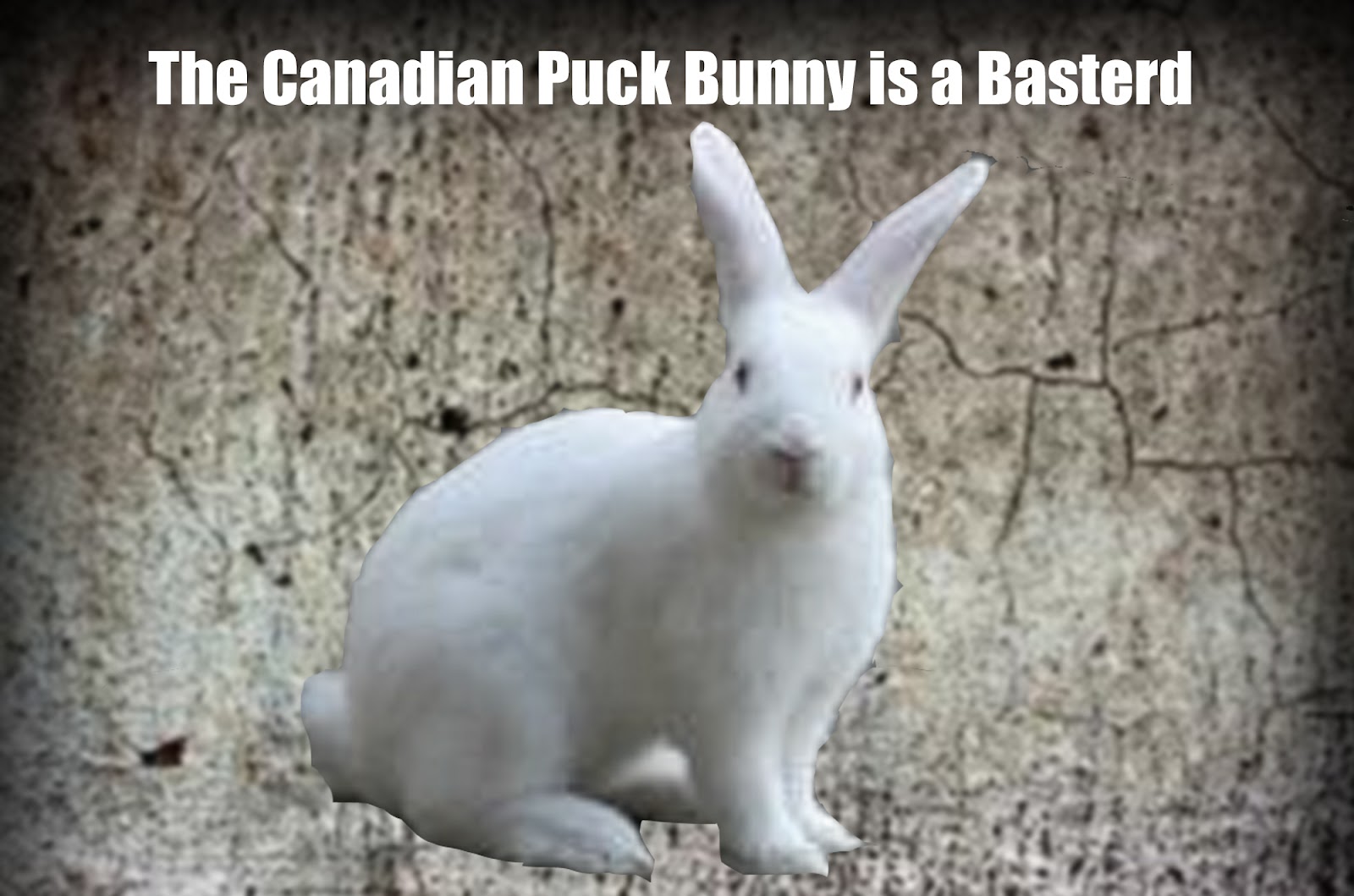 Cinema Club Day 11 A Film By Your Favorite Director