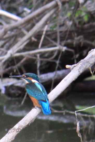 Playmobil On Tour 2011