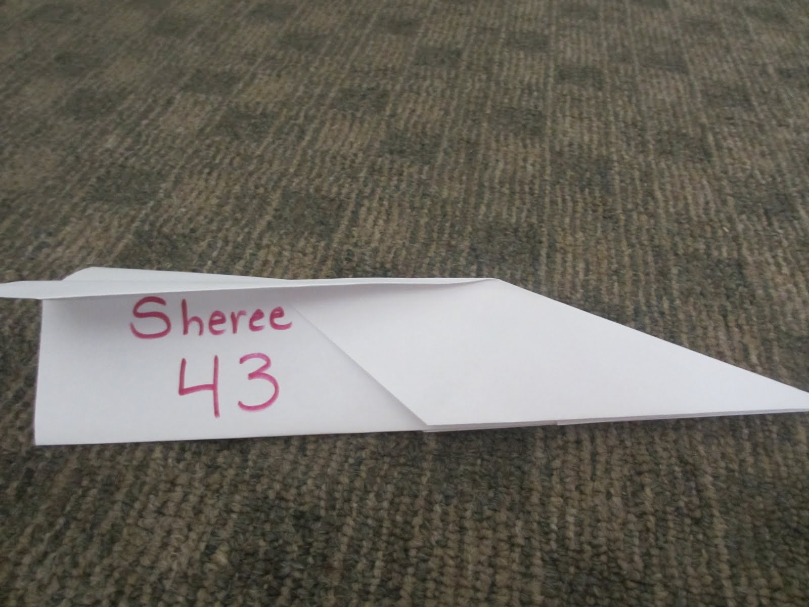 Peterson's Pad Paper Airplane Learning