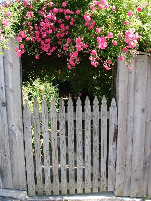 Garden Gate Pictures