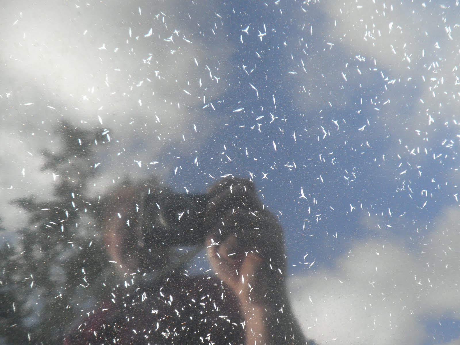 Auto BodyCollision RepairCar Paint in FremontHaywardUnion CitySan