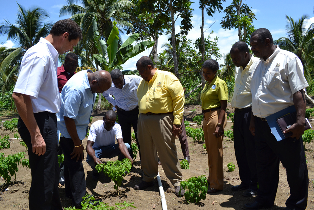 FOOD FOR THE POOR JAMAICA Economic Diversification for Jamaica