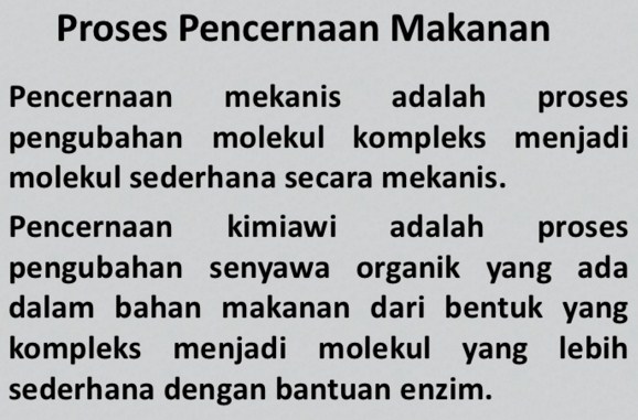 Perbedaan Proses Pencernaan Mekanik Dan Kimiawi Pada Manusia Perpustakaan Umum