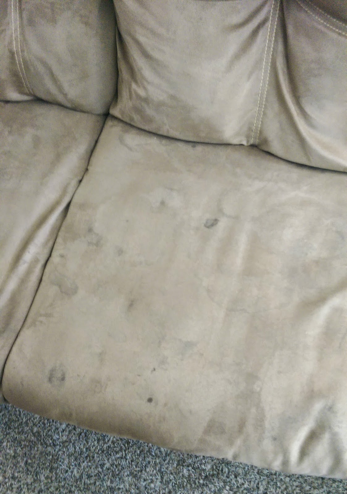 Try it out Mama How I Cleaned My Type S Couch!