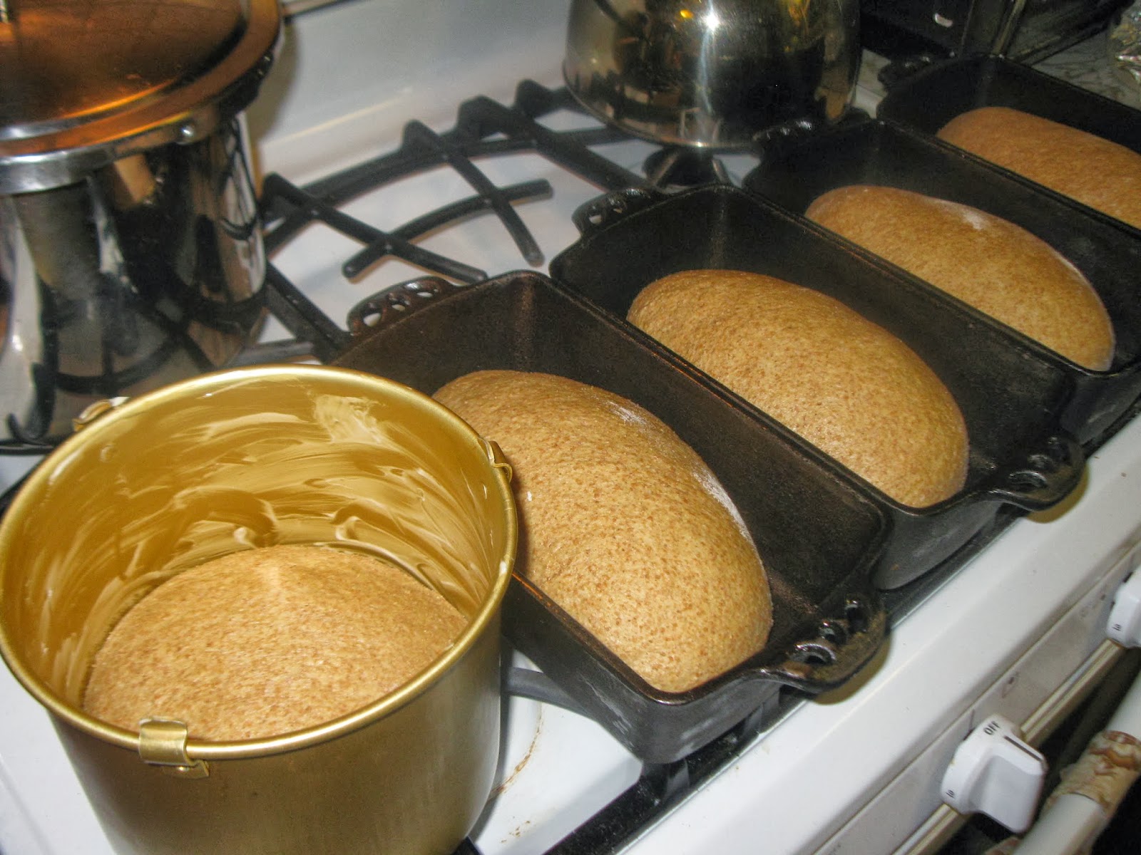 Simply Homemaking Pressure Cooking Chapter 3