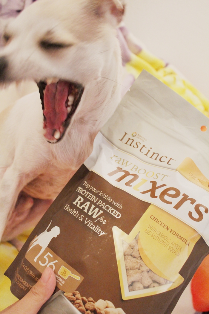 happyhazel Let's MixItUp ! Instinct Raw Boost Mixers Review!