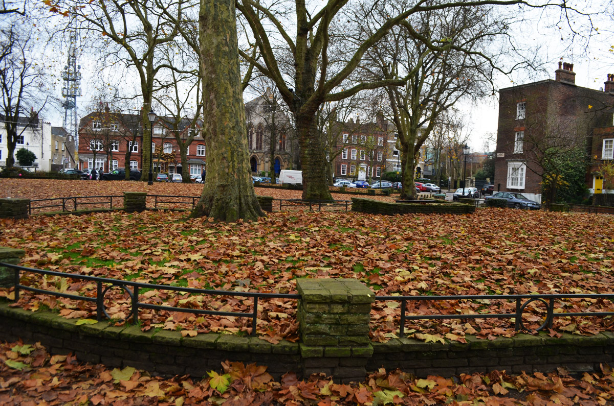 Lando Breaks Pond Square, Highgate