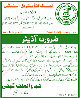 Auditor Required