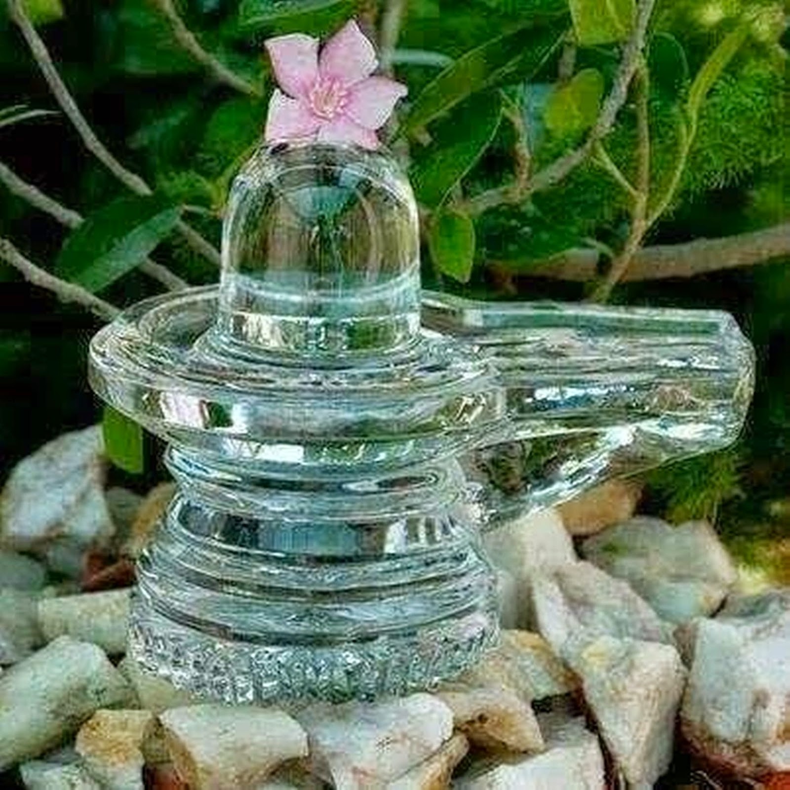 thai poosam date 2014