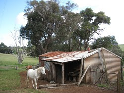 Old Sheds Bridgetown