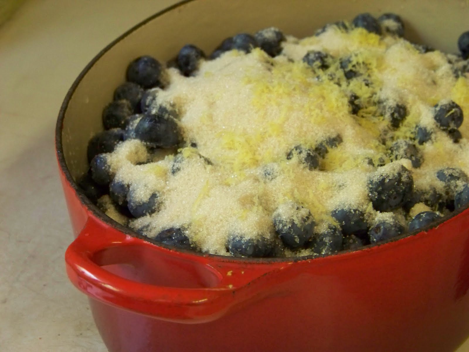 Tora's real food Blueberry jam with maple syrup and lemon zest