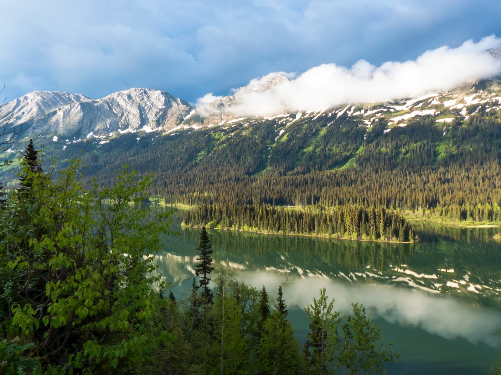Last of the Curlews Pine Pass