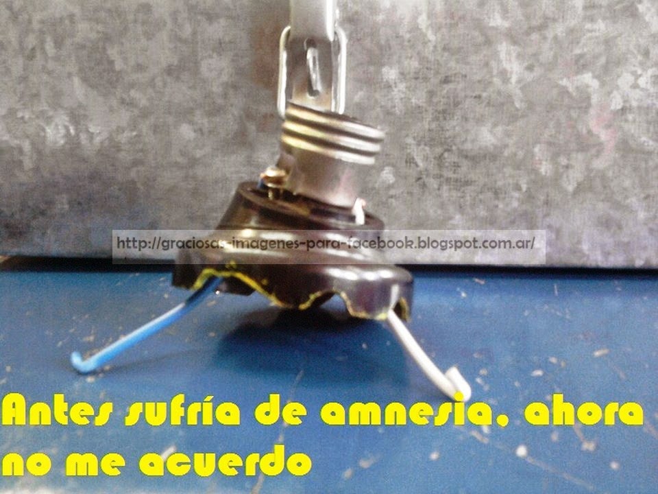 Imagenes Divertidas Y Graciosas Imagenes Divertidas Y Graciosas