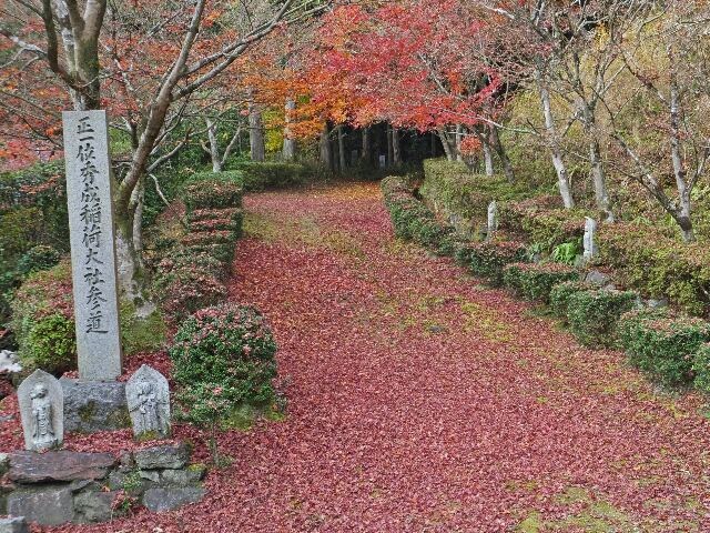 正一位秀成稲荷大社参道の散紅葉。 正一位秀成稲荷大社参道の散紅葉。