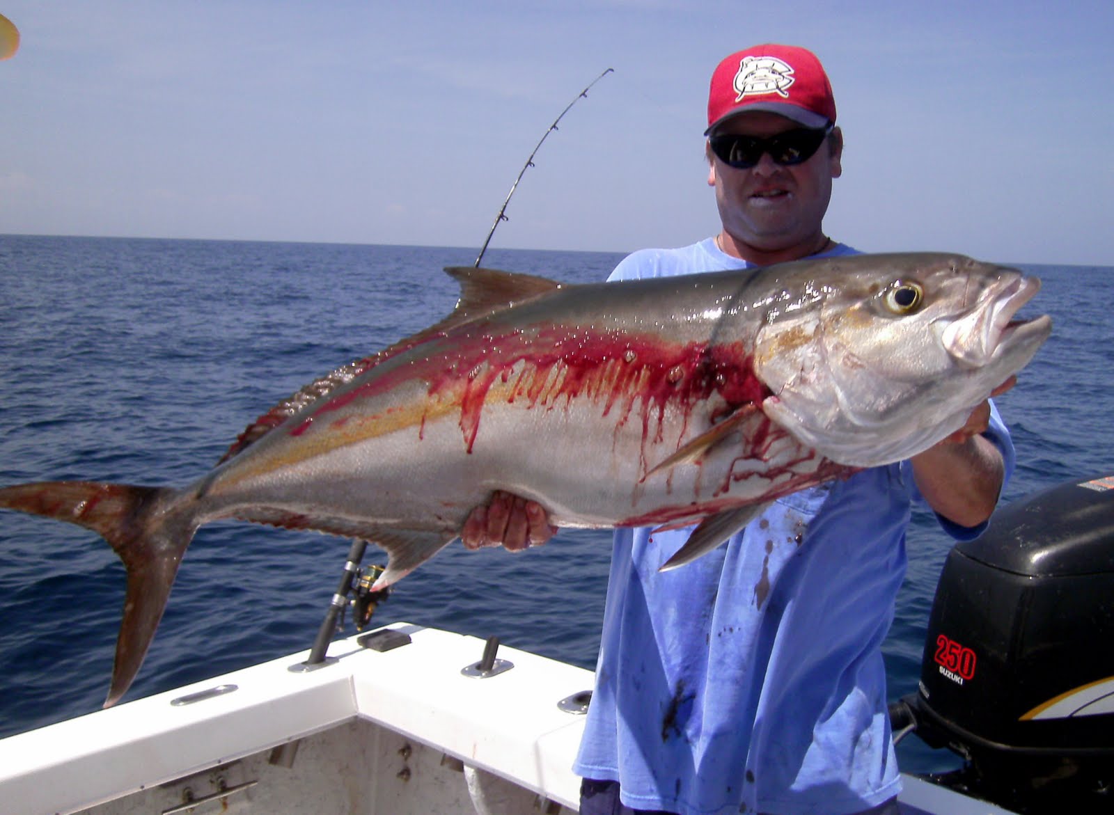 atlantic bluefish atlantic bluefish