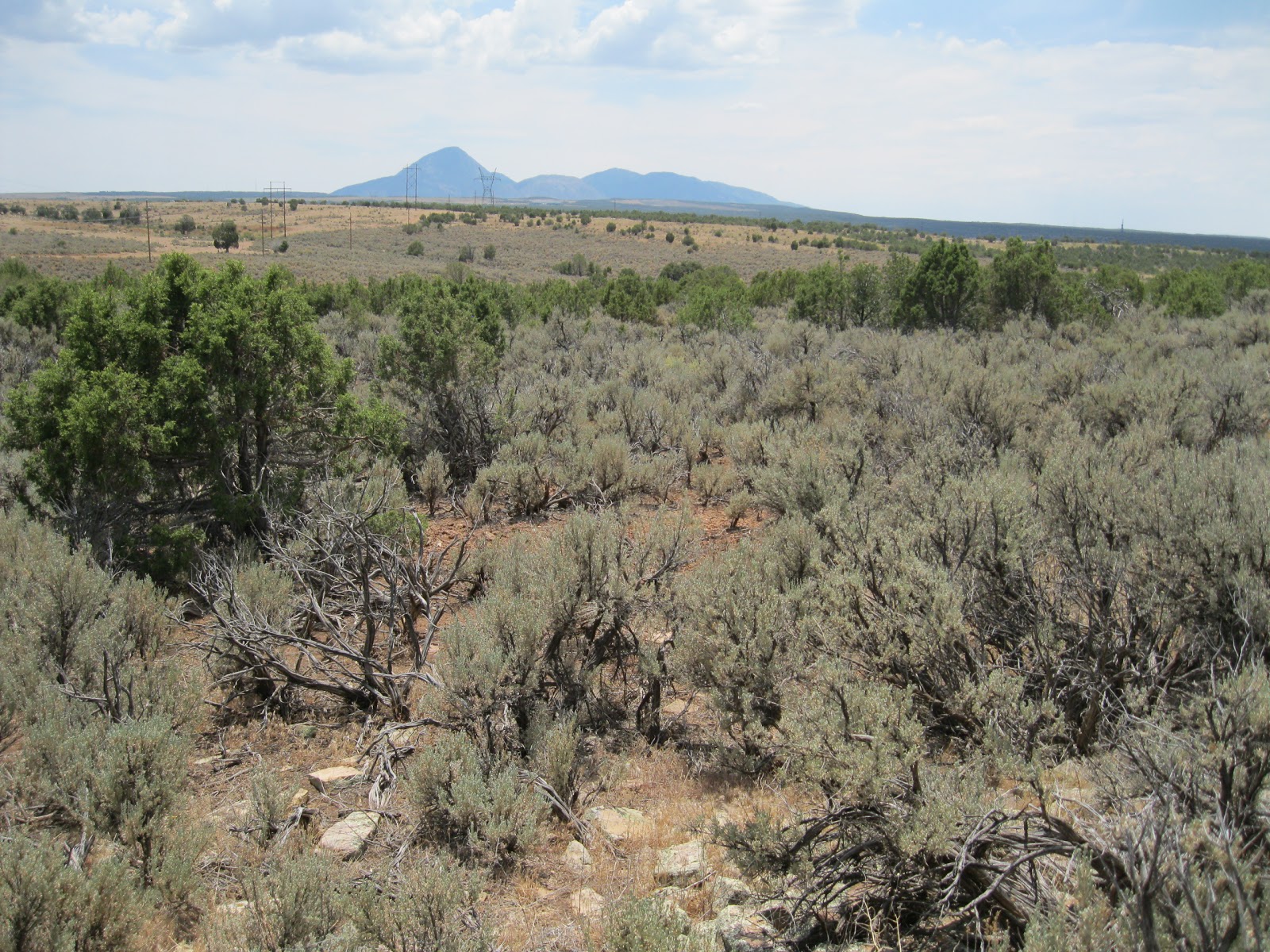 Four Corners HikesCanyons of the Ancients Hilltop Village Between