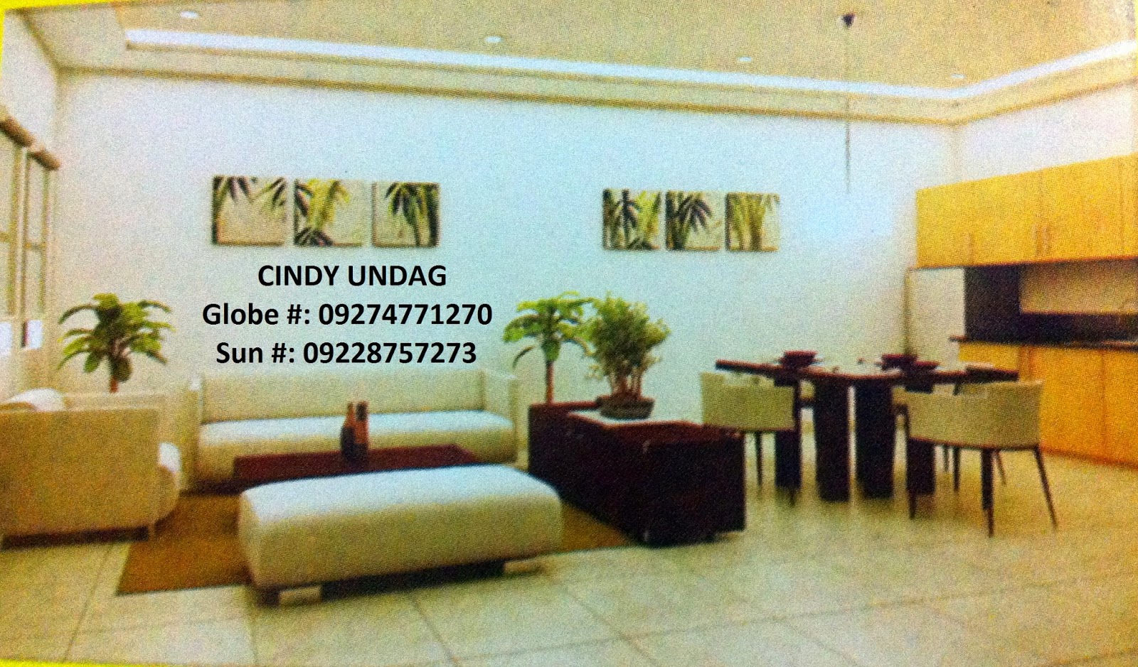 Invest in Las Pinas Properties Brandnew townhouse in Tiara Homes