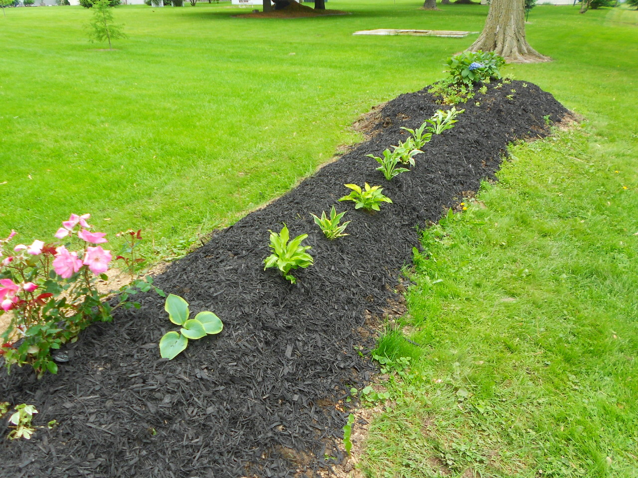 RVing: The USA is our BIG Backyard: Around the yard --- the things we