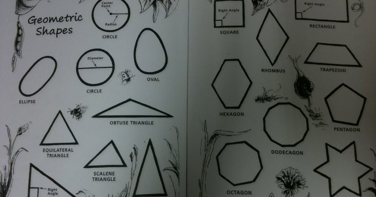 Klassrumskul: Math in the garden